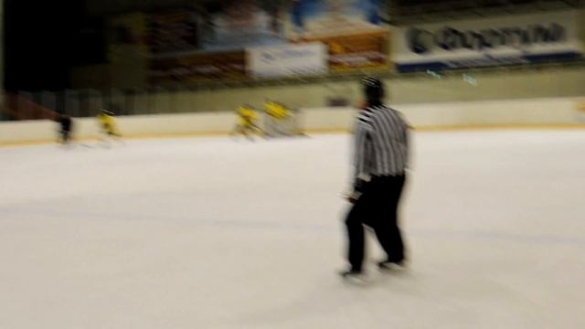 04.11.2014 Хоккей. ЧЛХЛ. Дивизион Дебютант. Фаворит 2-1 Центр. смотреть онлайн