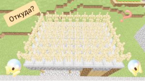 Откуда на моей крыше столько стоек для брони в minecrart | ДимА4 minecrart!