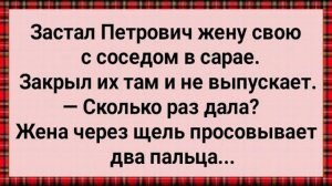 Как Петрович Жену в Сарае Закрыл! Сборник Свежих Анекдотов! Юмор!