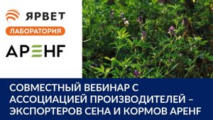 Совместный вебинар с Ассоциацией производителей – экспортеров сена и кормов APEHF