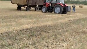 Вывоз тюков. МТЗ, 82 с ПТС. МТЗ 922 с погрузчиком.