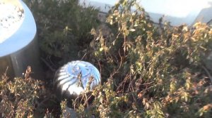 Ташкент  Ташкент сити в условиях надвигающихся экстренных мер  Как это было