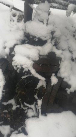 Люблю гулять в лесу в поисках металла