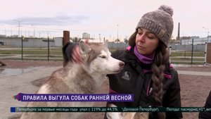 Правила выгула собак ранней весной