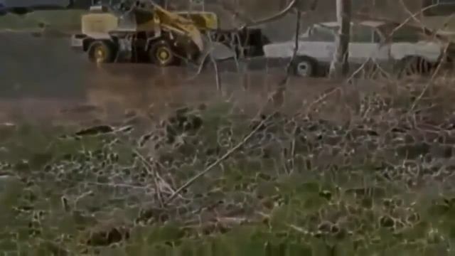 Лучшие приколы! Смешные приколы! Смешное видео! Приколы! Смешные животные! 3 4 смотреть онлайн