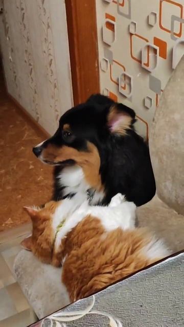 семейные разборки) смотреть онлайн