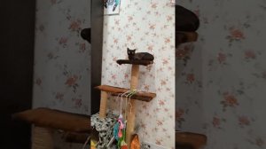 1000065917.mp4