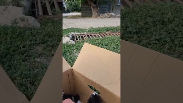 Помогите, SOS смотреть онлайн