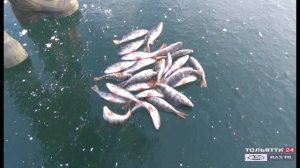 «Рыбацкие байки» 27.11.2020