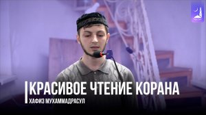 Красивое чтение Корана / хафиз мухаммадрасул /  Фатхуль Ислам