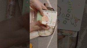 распаковка пенала с wb капибара