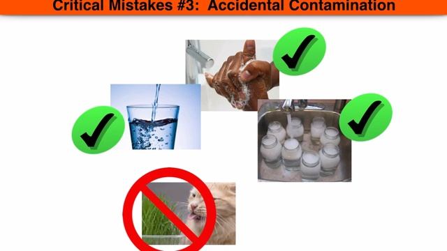 Sprouts смотреть онлайн