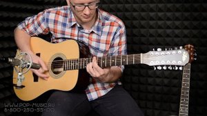 ARIA-215TE N - 12-ти струнная электроакустика