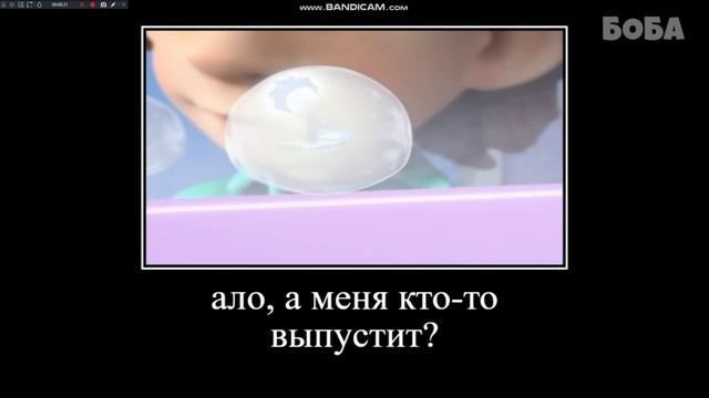 смешные видео