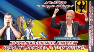КОЧУЮЩИЕ ПЛЕМЕНА СМОТРЯТ КУДА ИМ БЕЖАТЬ С ГЕРМАНИИ !