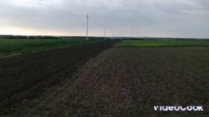 Обработка паров МТЗ 82.1 и борона дисковая 2.4