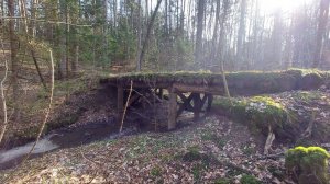 Лесничество