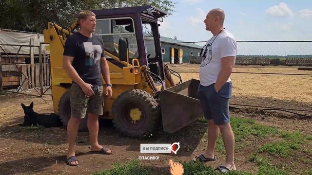 Какую технику для овцеводства выбрать? Техника для овцеводства в хозяйстве! Овцеводство в России! смотреть онлайн