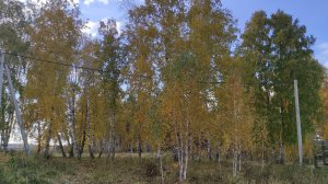Емельяново