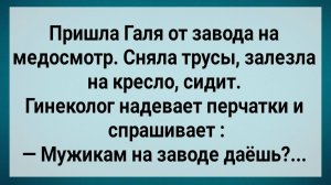 Как Галя На Заводе Медосмотр Проходила! Сборник Свежих Анекдотов! Юмор!