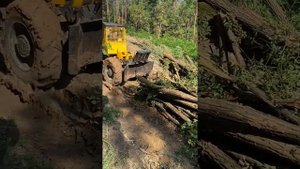 LKT 81 1/25  2. rész