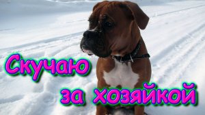 Это был типа выходной... (03.25г.) Семья Бровченко