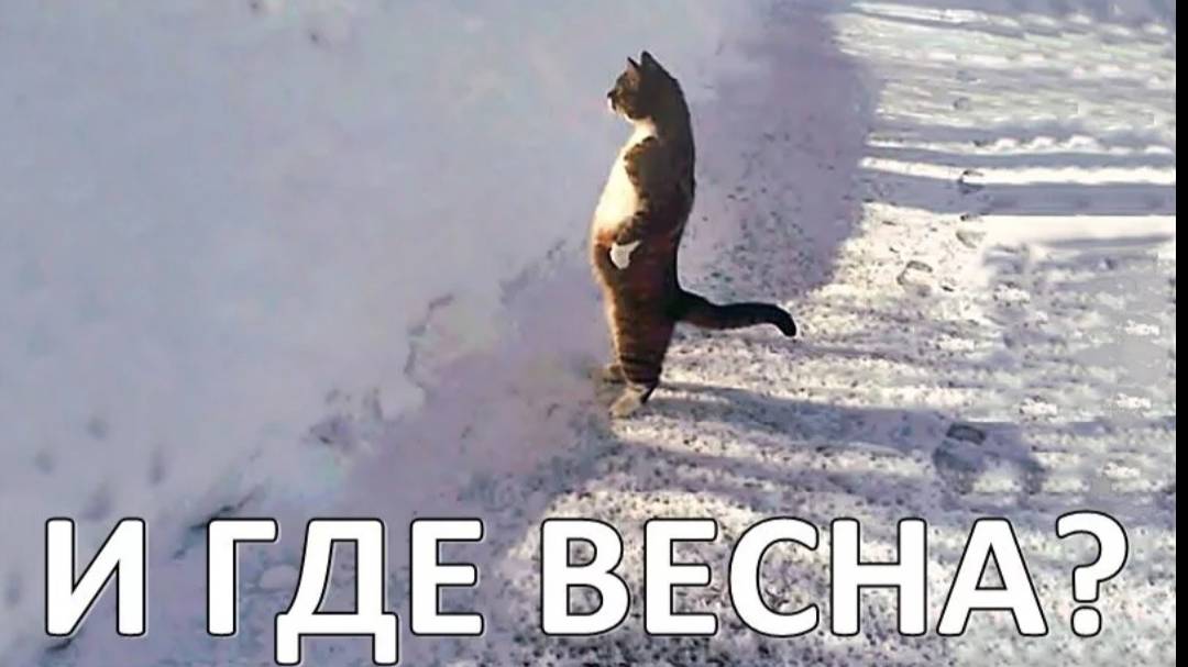 Красивая душевная песня: "Где же ты Весна затерялась?"