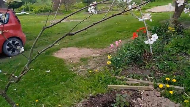 На Хуторе разные дела LATVIA смотреть онлайн