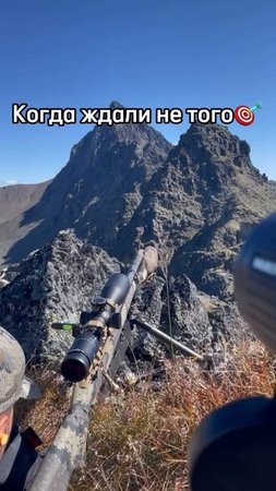 Когда пришел не тот 🎯
