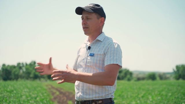 Фунгіциди на сої: хвороби, речовини, застосування смотреть онлайн