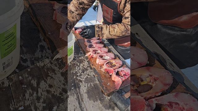 РАЗДЕЛКА ТОЛСТОЛОБИКА ДЛЯ ПЬЯНЫХ МУЖИКОВ. РЕЦЕПТЫ СЮФ #рецепт #толстолобик #еда #праздник #юмор #рец