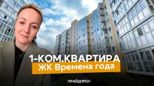 1 к.квартира ЖК Времена года Якимчак Альфия 89184317797