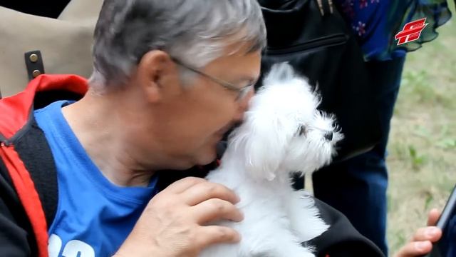 "Авангард" на городском пикнике: веселье для всех! смотреть онлайн