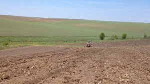 Сажаем кукурузу с помощью трактора KUBOTA