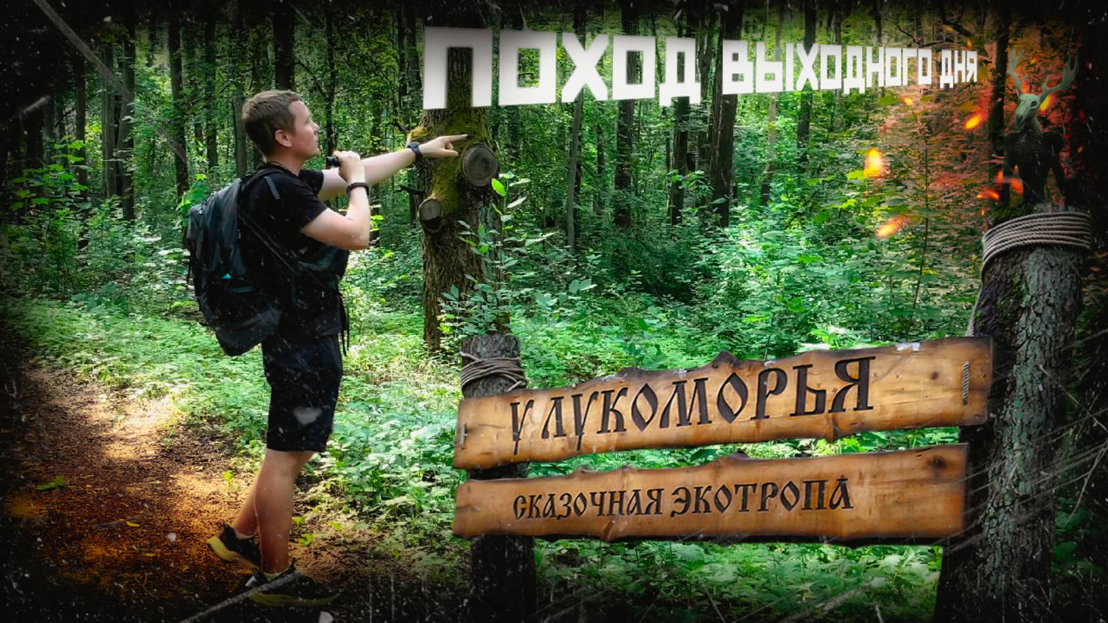 ПВД | ЭКОТРОПА у Лукоморья | Поход выходного дня смотреть онлайн