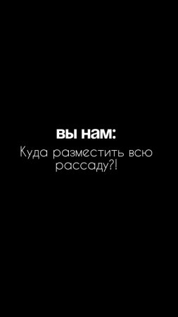 Куда же деть всю эту рассаду? 😅