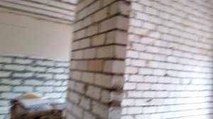 Новоподклетное 2021 06 26
