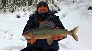 Январская рыбалка на лесной речке \ 4 дня в поисках ХАРИУСА \ Часть 2 \ Нашли крупняк