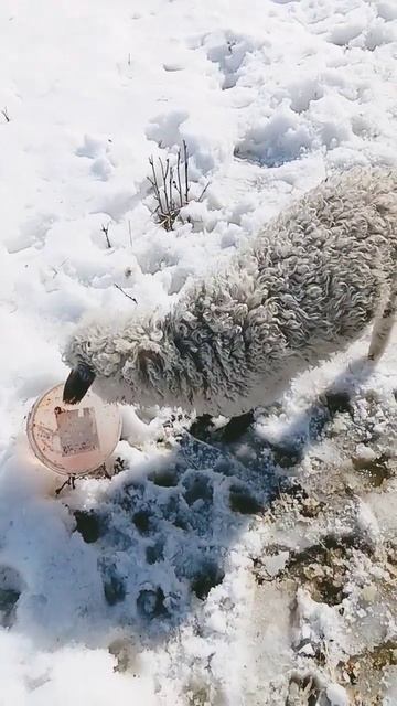 28 марта 2024 г.