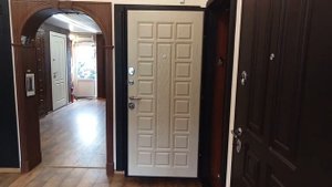 Входная дверь "Консул"