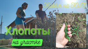 Живём на ЮГЕ 🏡 Приятные хлопоты на участке 🌳🌹🪻 Да, я такая!🤷🏼♀️