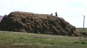 скирдование соломы в копну