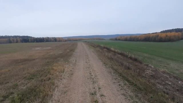 МЕТАЛЛОКОП. Отличные находки в лесопосадках. Октябрь 2022. Золотая осень.