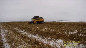 Уборка кукурузы  Комбайны Torum,New Holland,John Deere