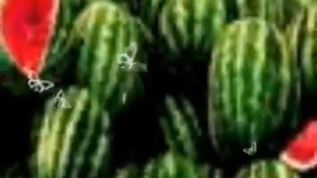 Шығыс Қазақстан туған жерім !! смотреть онлайн