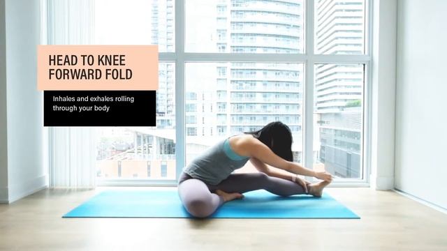 Yoga 101: 5 Seated Forward Folds смотреть онлайн
