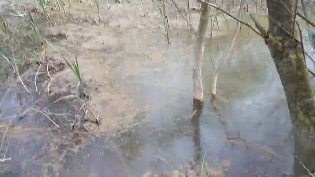 Маша выпускает рыбу в новый водоем