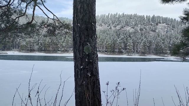 Исцеляющая Катуь, Горный Алтай смотреть онлайн