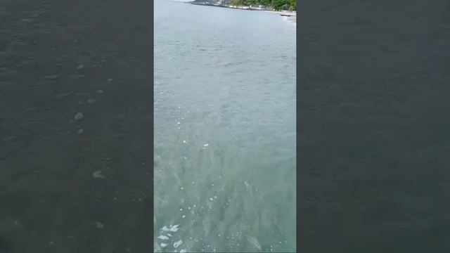 Одесса Море смотреть онлайн