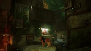 Нашли все книги Аутсайдеров (Stray)